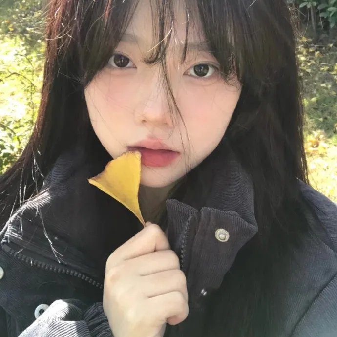派特森与芬达猫
