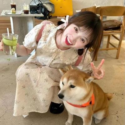 红色尾翼